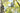 Blaumeise