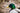 Stockente